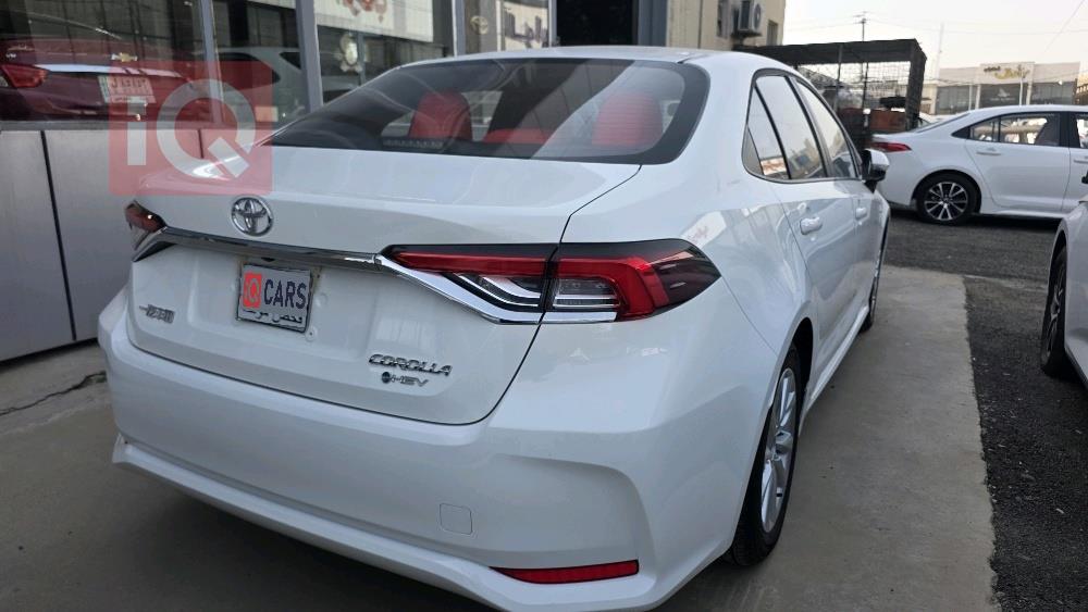 تويوتا كورولا